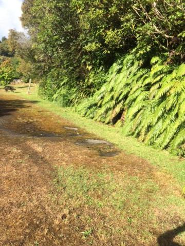 Tekoa Lodge Raurimu Esterno foto