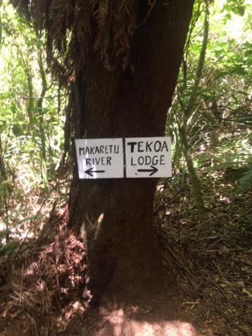 Tekoa Lodge Raurimu Esterno foto